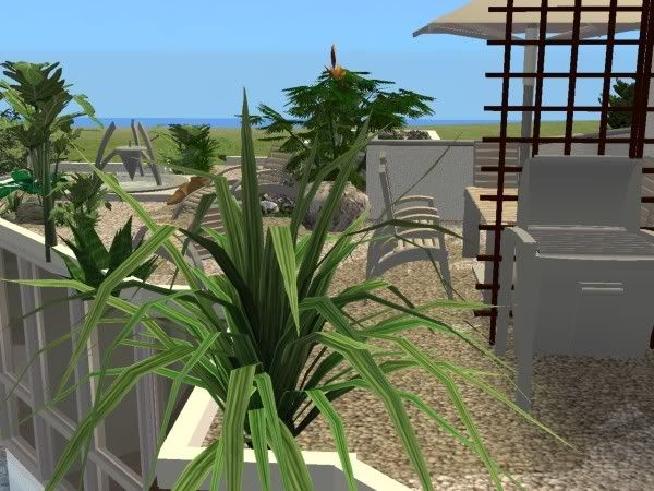 snapshot_00000015_150ce4f3.jpg