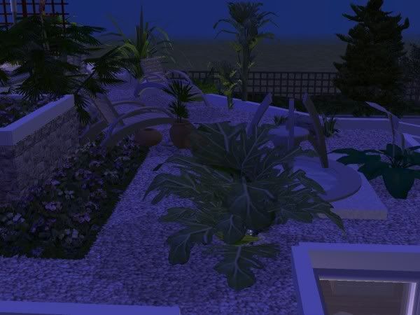 snapshot_00000015_350ce7c2.jpg