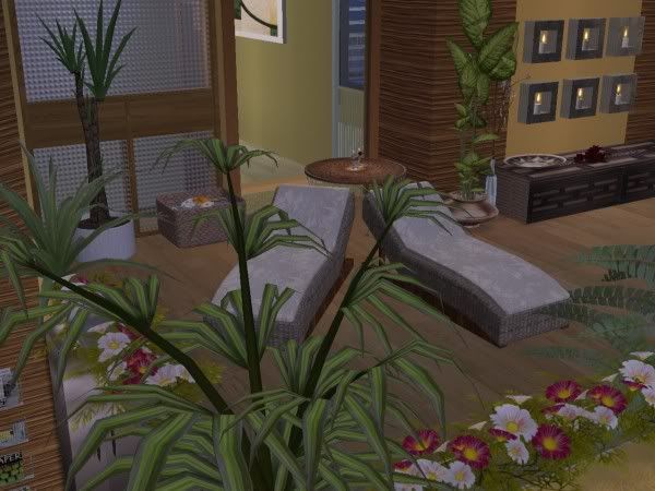 snapshot_00000015_550b7ed9.jpg
