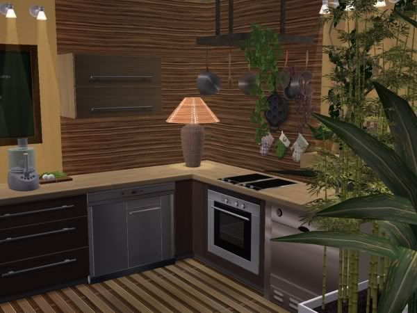 snapshot_00000015_750b7e15.jpg