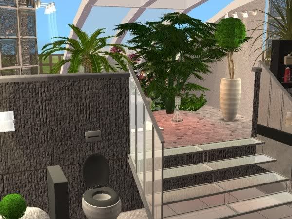 snapshot_00000015_d50ce32a.jpg