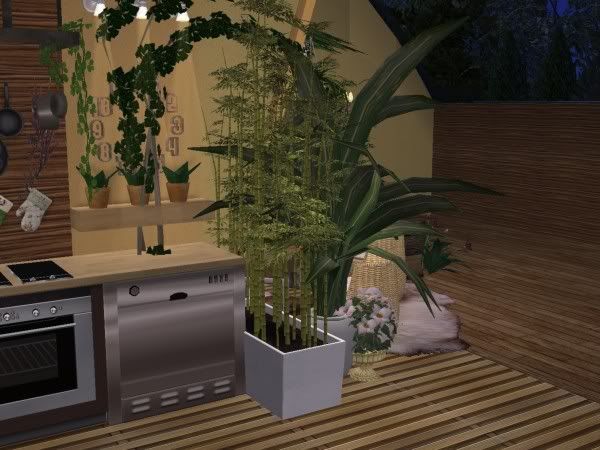 snapshot_00000015_f50b7e03.jpg