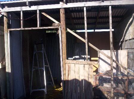 000_0082.jpg