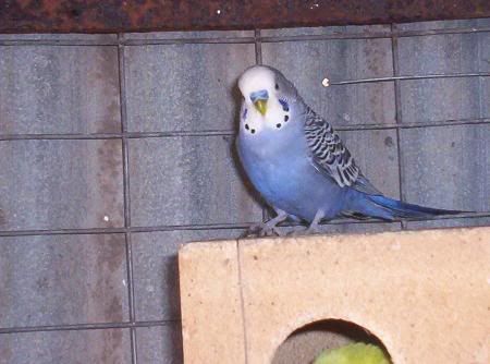 000_0087.jpg