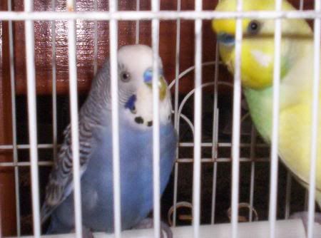 000_0094.jpg