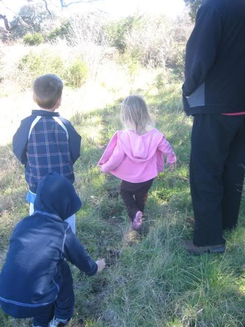 nature,science sunday