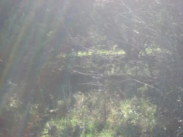 nature,science sunday