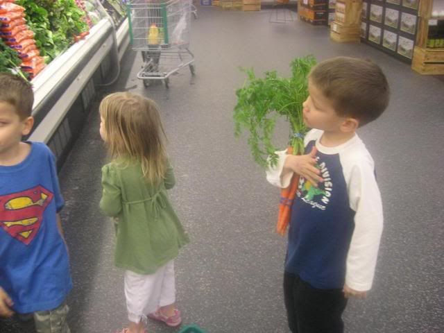 farm,science,science sunday,field trip