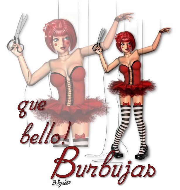 PRImagen8.jpg picture by BurBujasBar