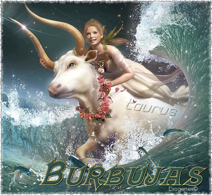 bur008.gif picture by BurBujasBar