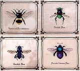 BeeCollectionbyDimplesDesigns.jpg Bee Collection by Dimples Designs image by xstitchingmom101a