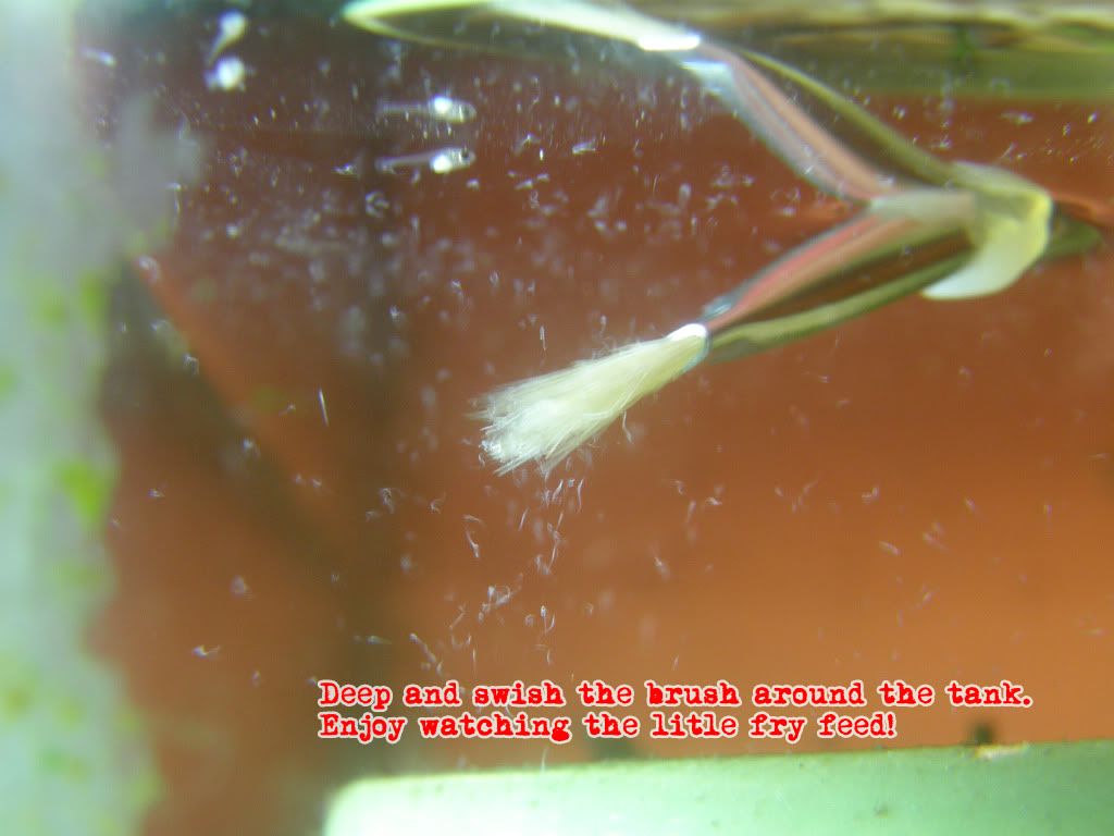 Vinegar Eels the Easy Way