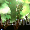 1.gif 1.gif