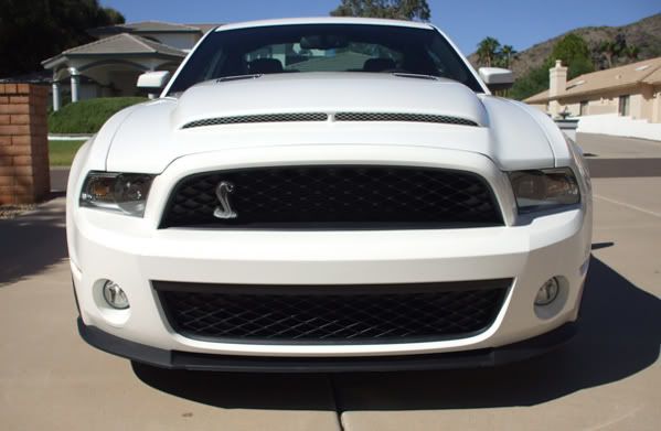 GT500 Hood
