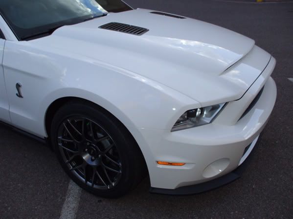 2010 2011 Ford Mustang GT500 BMC Mamba Hood