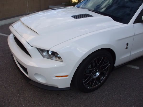 2010 2011 Ford Mustang GT500 BMC Mamba Hood