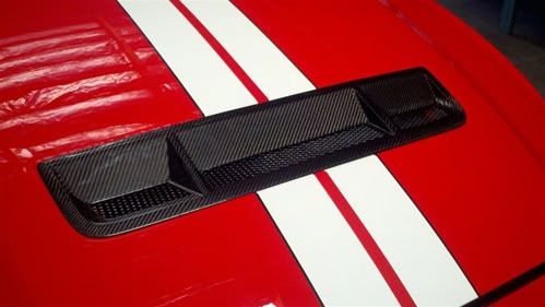 2010 GT500 Grille Insert