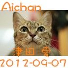 愛將