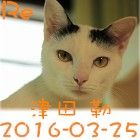 阿勒