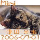 米米
