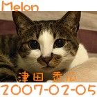香瓜