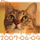 小蘋果
