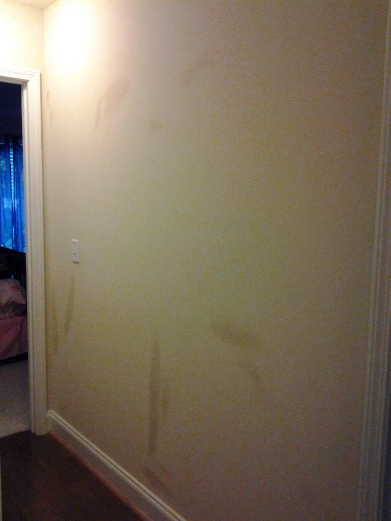  photo 0429130932b_zpsdb2aec71.jpg