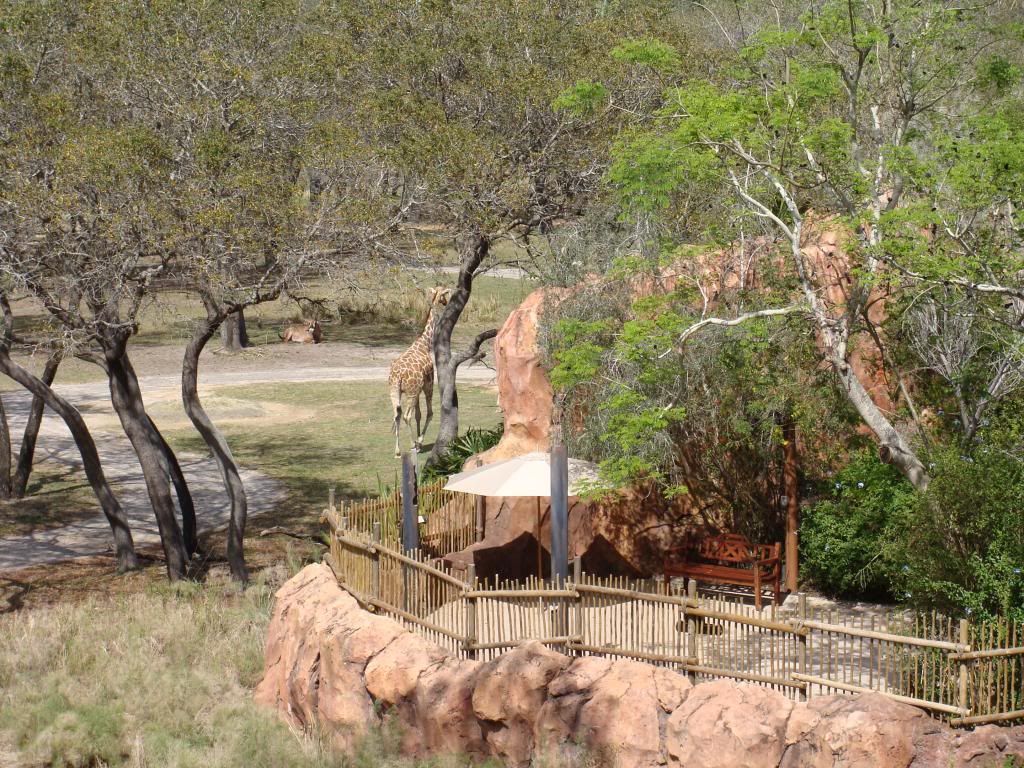  photo 12_zps64e1b44c.jpg