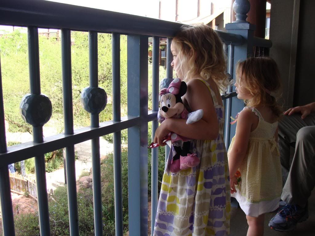  photo 13_zpsf5a5f5bb.jpg