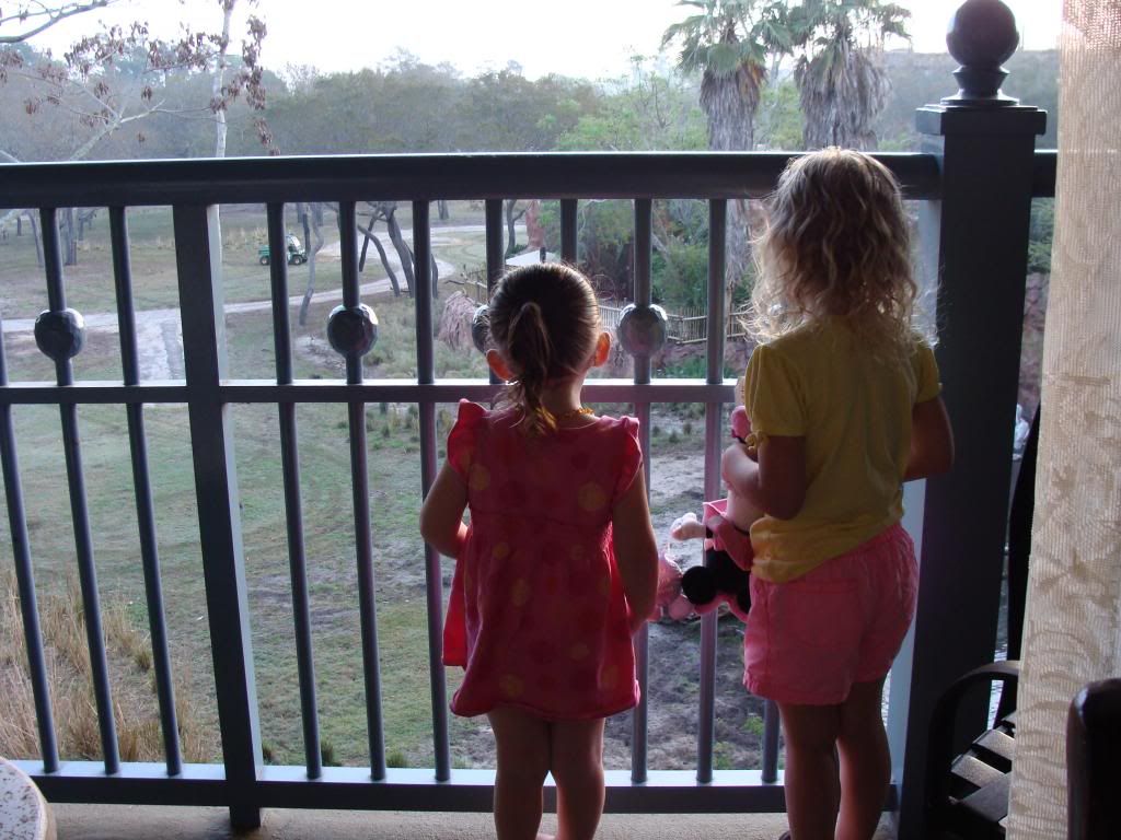  photo 19_zpsdbaa5162.jpg