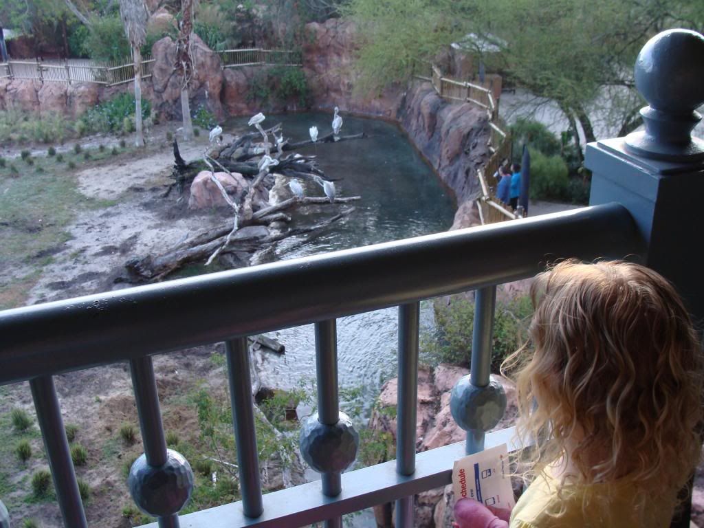  photo 20_zpsfcacd32a.jpg