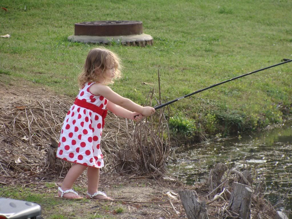 photo DSC04483_zps955f5e04.jpg