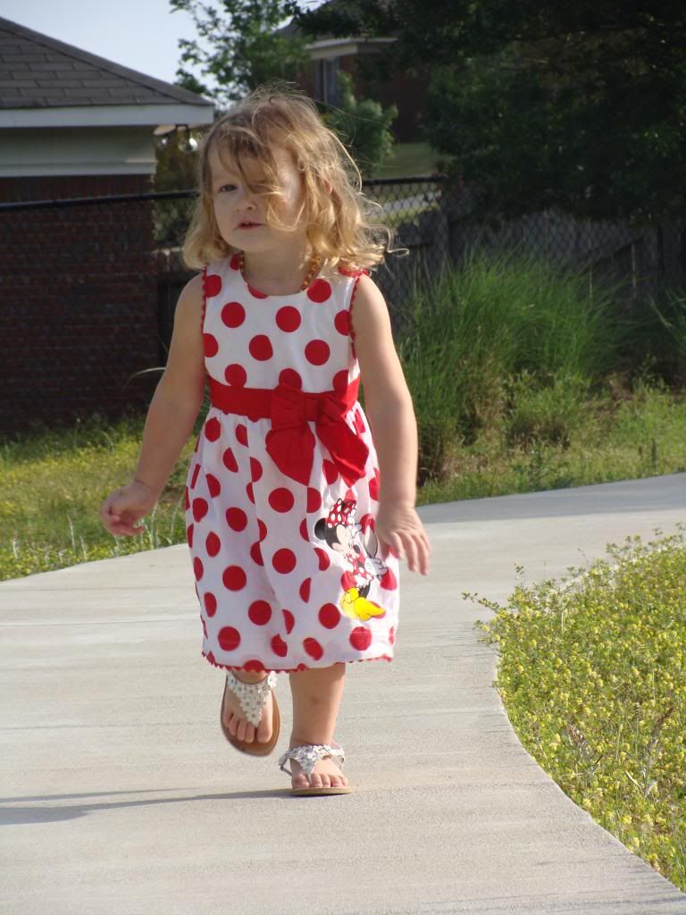 photo DSC04484_zpsce13724d.jpg