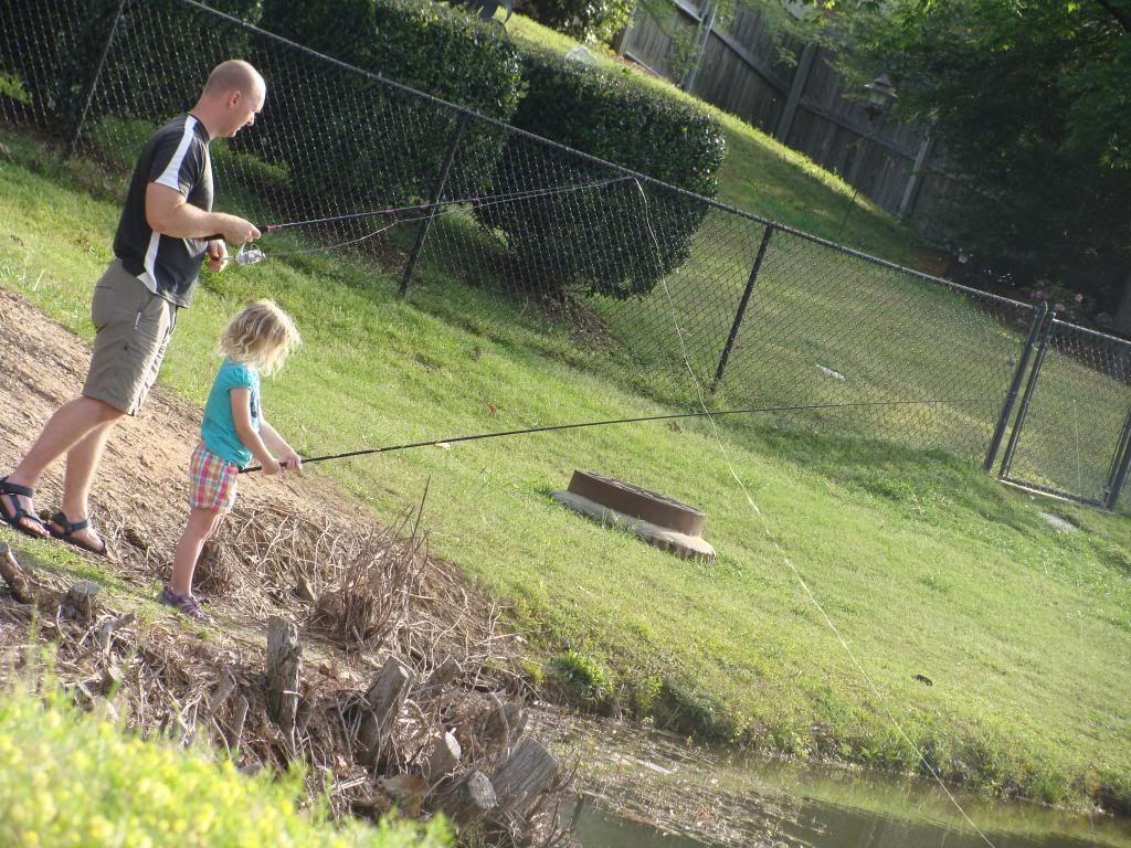 photo DSC04485_zpsb45af804.jpg