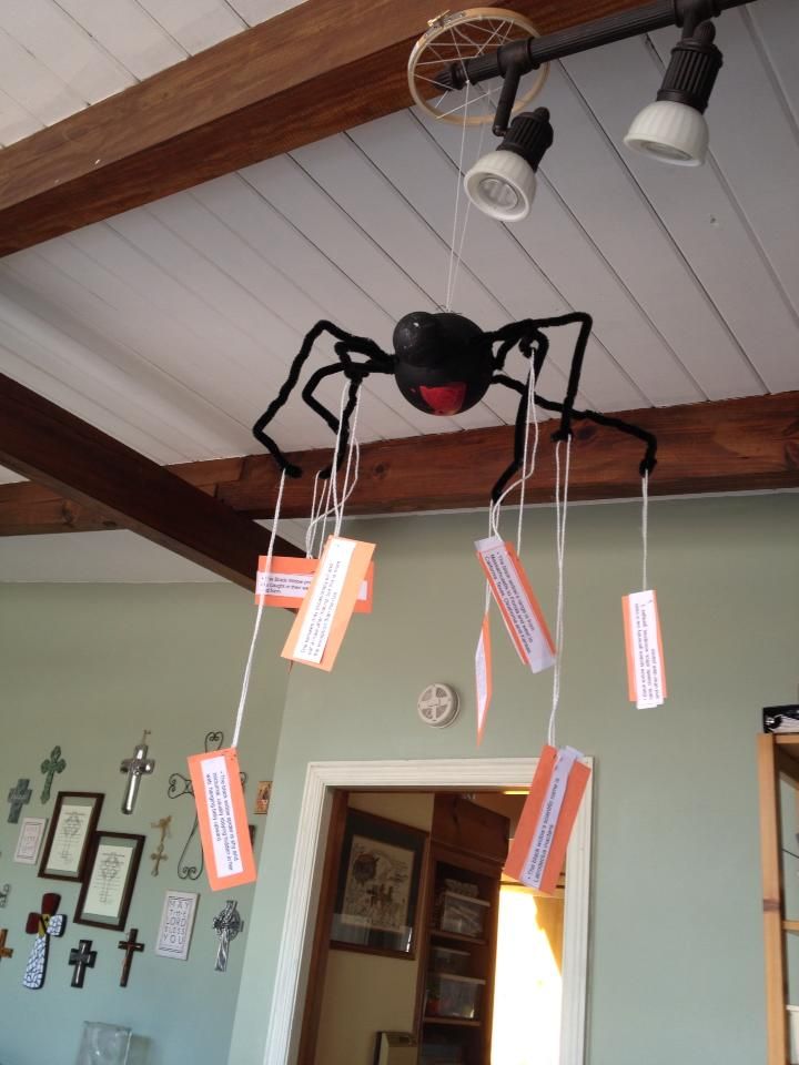  photo Spider_zpsd6770d1e.jpg