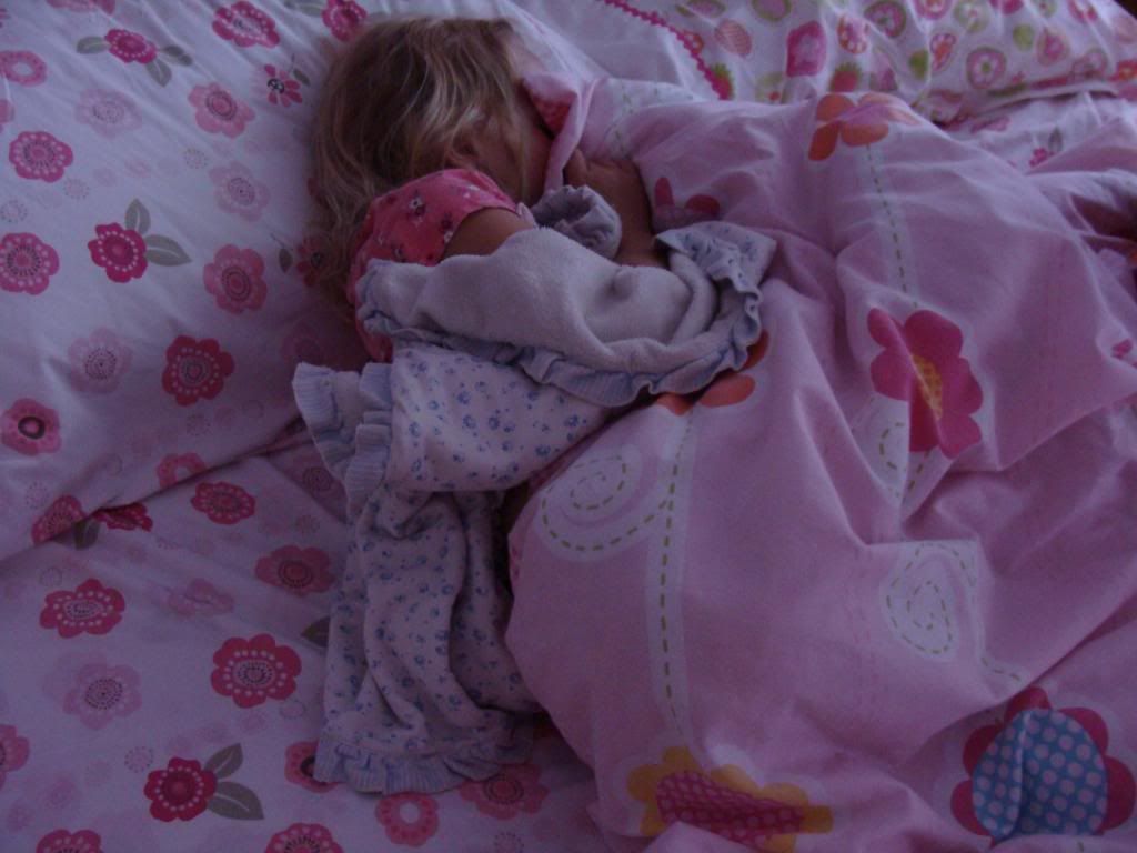  photo DSC06140_zps145bf3b6.jpg