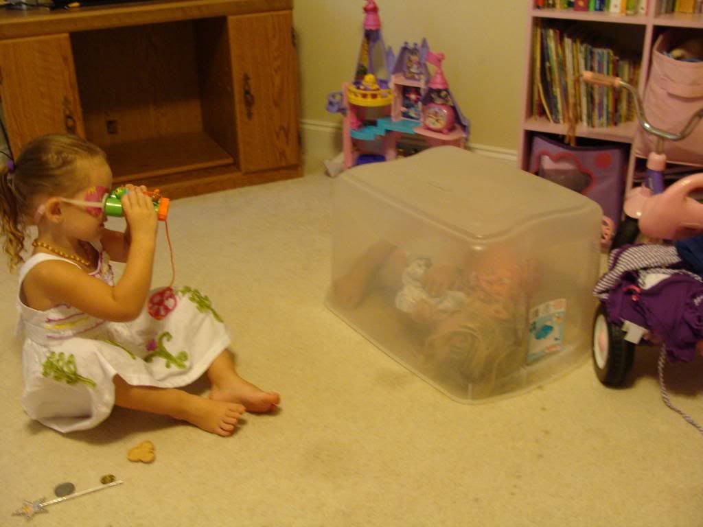 photo DSC06142_zps43091779.jpg