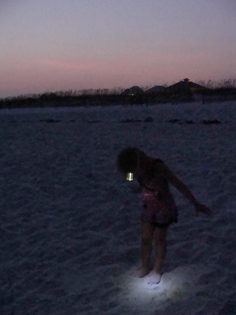  photo DSC06189_zps39780f40.jpg