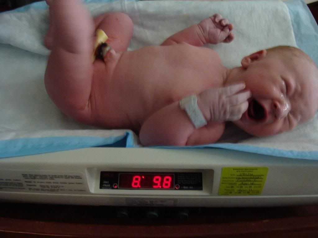 8 pounds 10 ounces