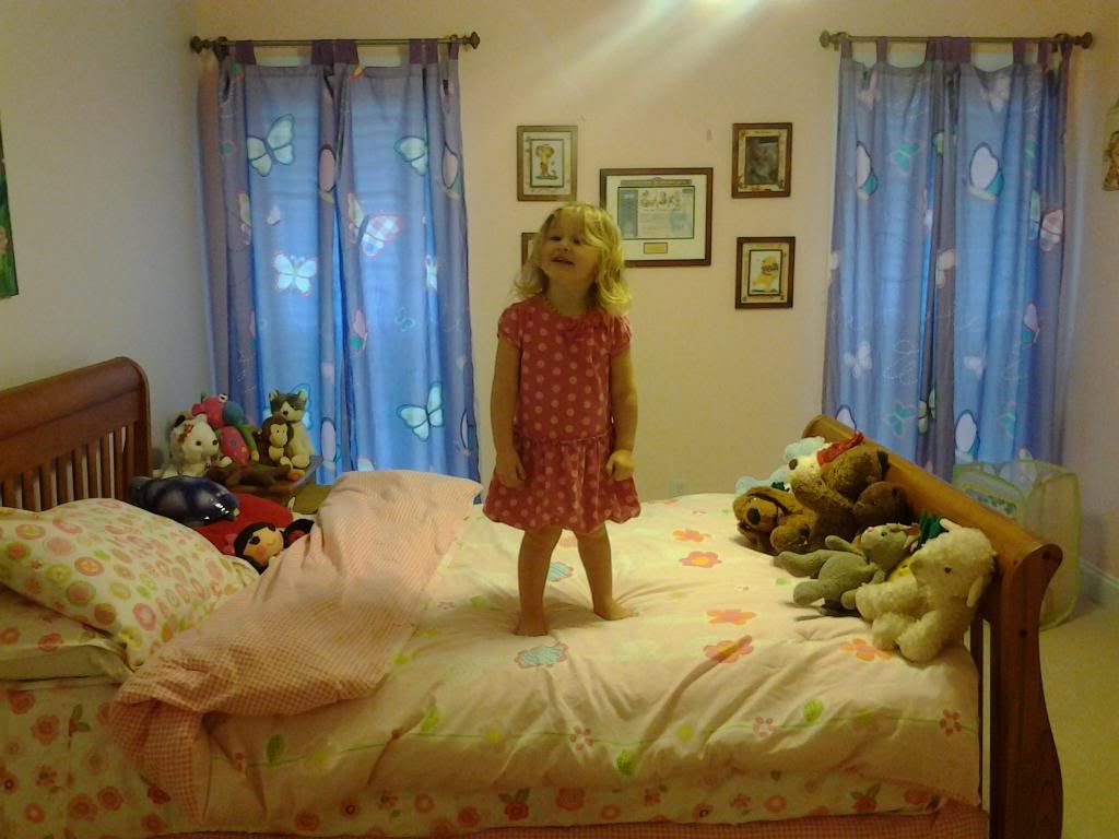 photo 0225131111b_zpsbed6df9b.jpg