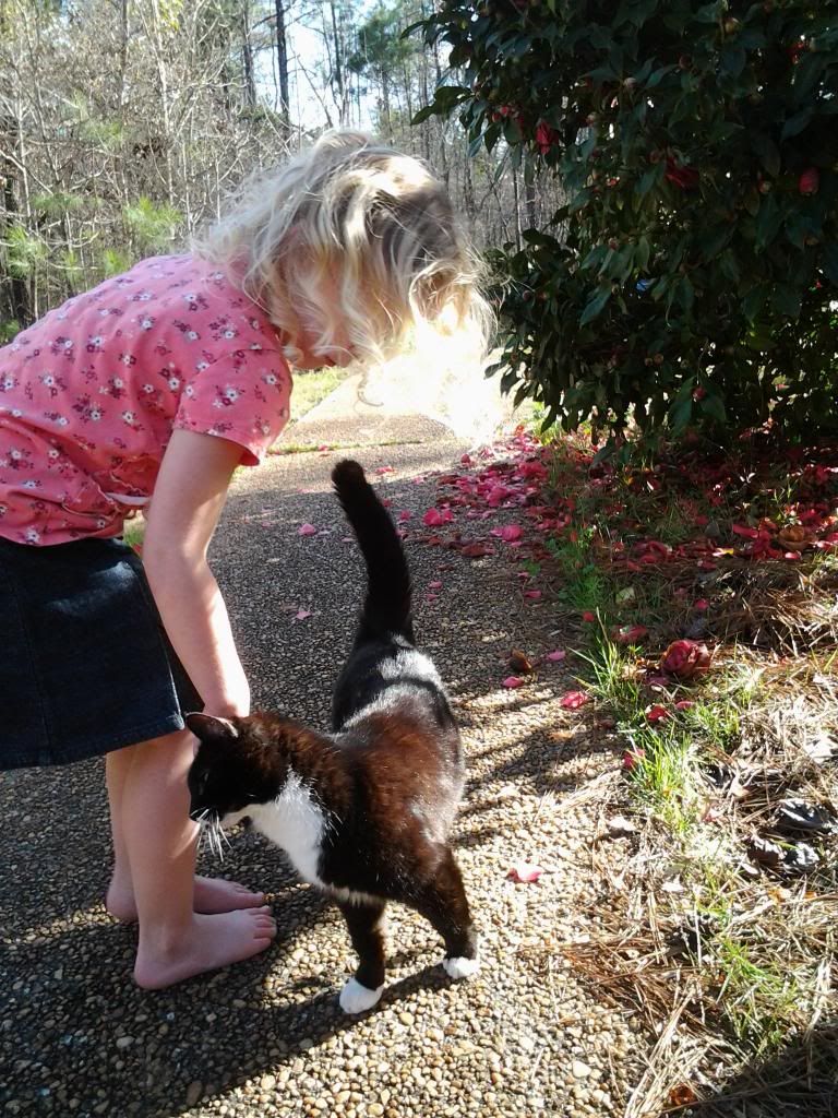  photo 0226131610_zpseee03a6d.jpg