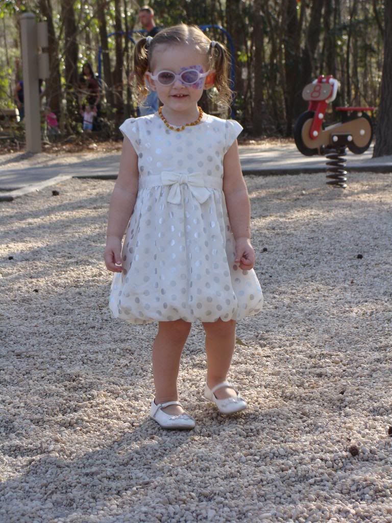  photo DSC03106_zps98ab4319.jpg