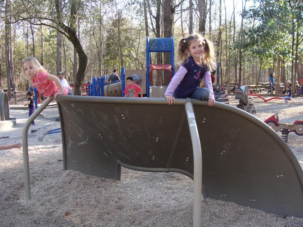  photo DSC03114_zps7b7f6199.jpg