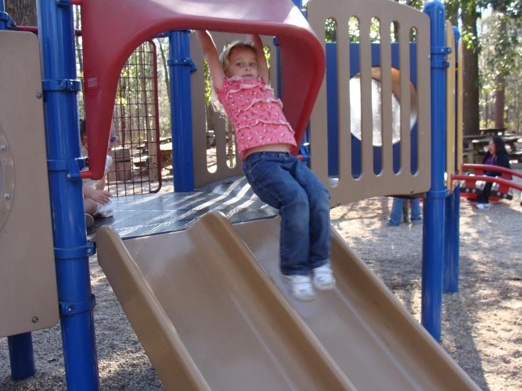  photo DSC03121_zps55202f7f.jpg