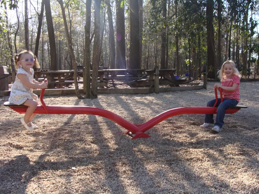  photo DSC03133_zps94087664.jpg