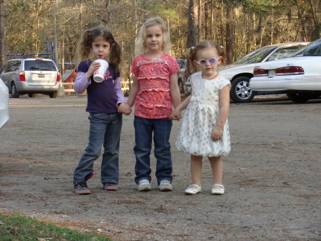  photo DSC03182_zpsfad0c505.jpg