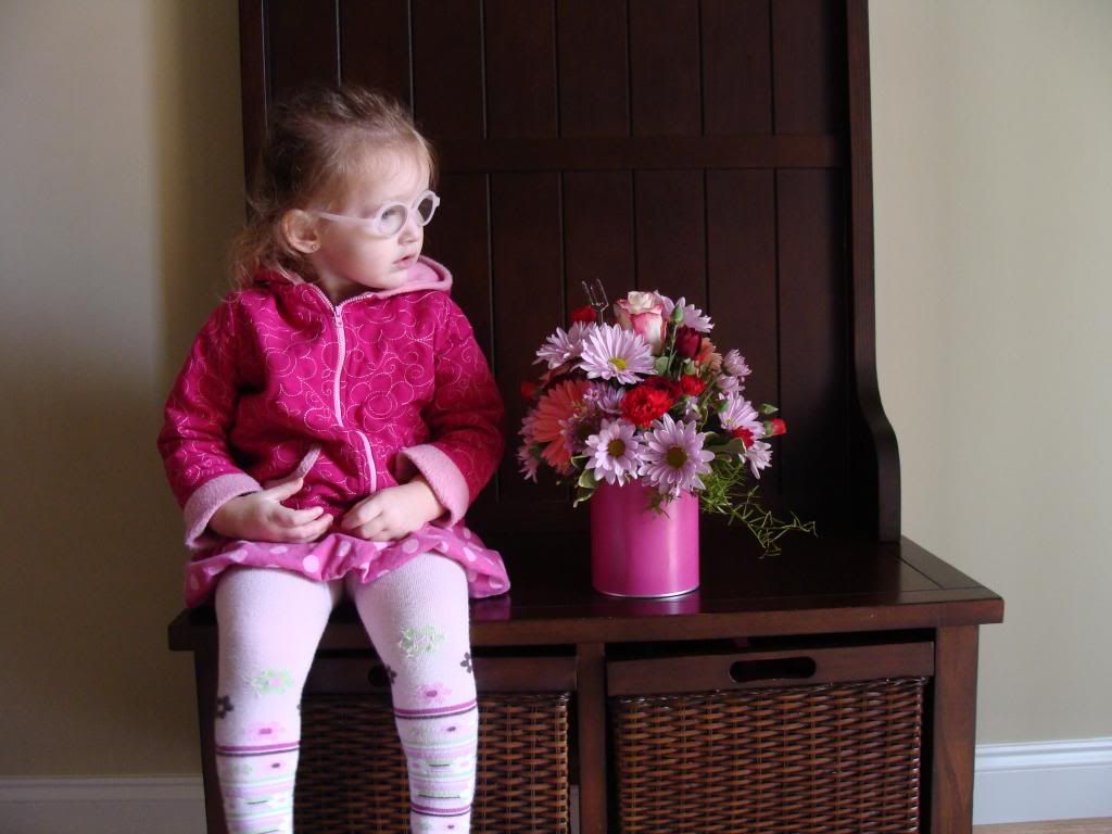  photo DSC03264_zps0d42a1af.jpg