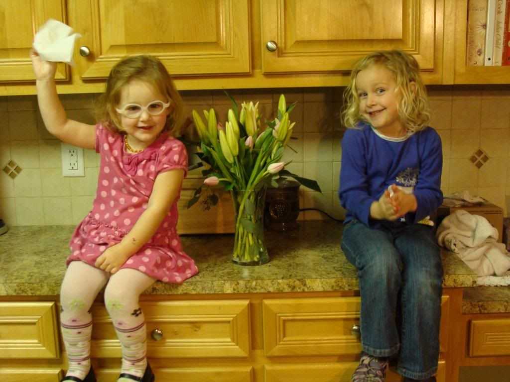  photo DSC03303_zps8ef45ae0.jpg