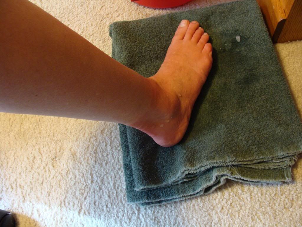  photo DSC03365_zps3c2e53b4.jpg