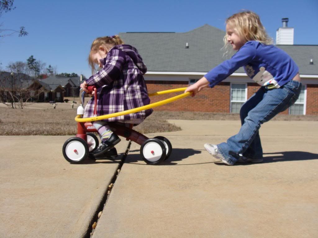  photo DSC03381_zps13bfb476.jpg